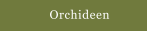Orchideen