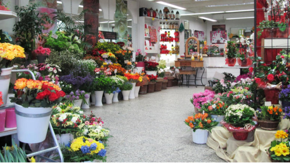 Das Blumenhaus Haus Der Schonsten Rosen Ihr Blumengeschaft In Norderstedt 