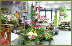 Das Blumenhaus | Innenansicht des Blumenhauses